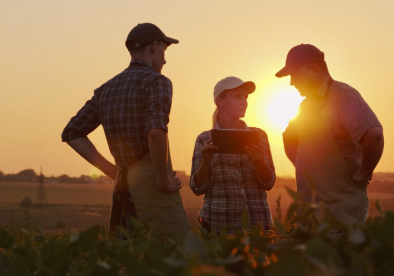 Qu’est-ce que la SCEA et quels sont ses avantages pour les agriculteurs