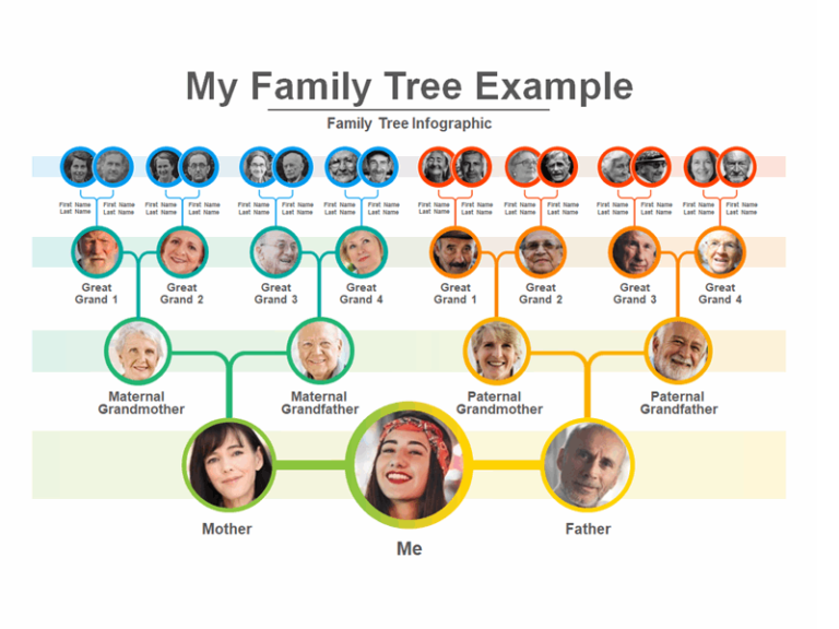 arbre genealogique illustrant les noms de famille