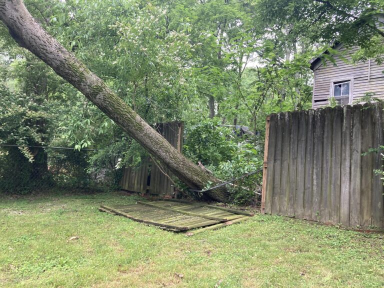 arbre tombe sur une cloture de jardin