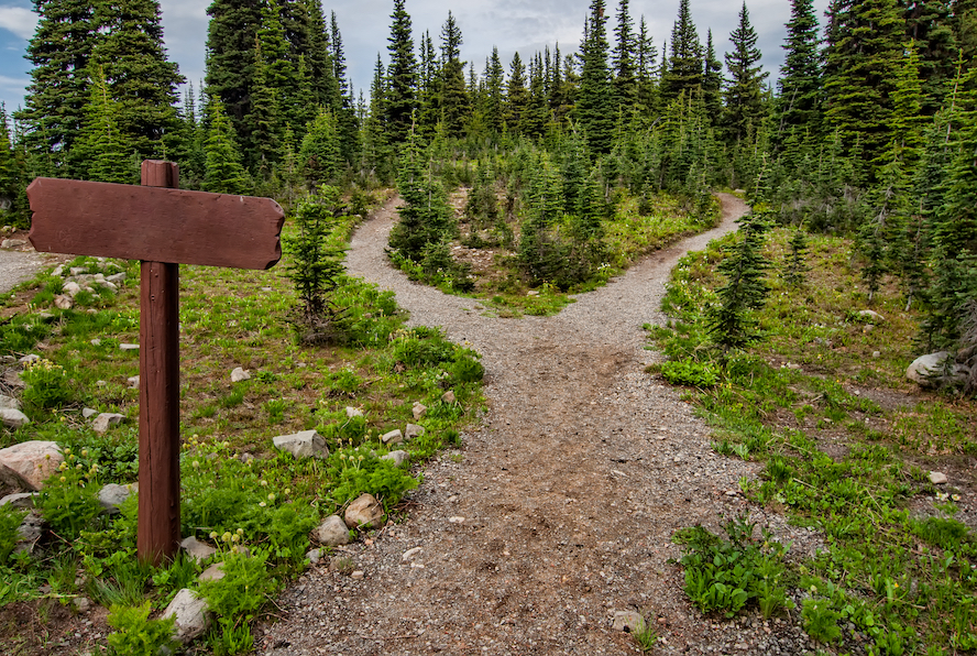 deux chemins divergeant dans une foret