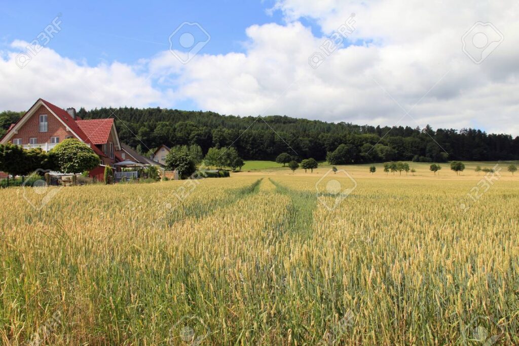 maison de campagne au milieu des champs