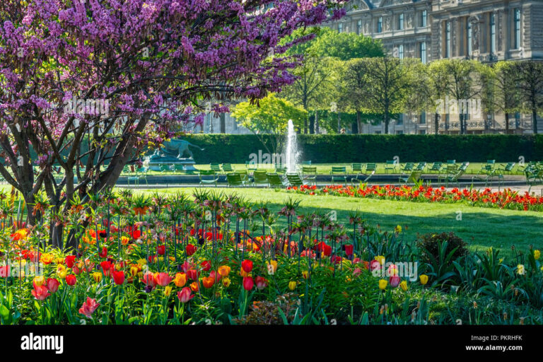 manege colore au jardin des tuileries