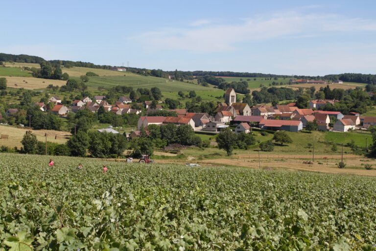 Que faire ce week-end dans la Marne pour s’amuser et se détendre