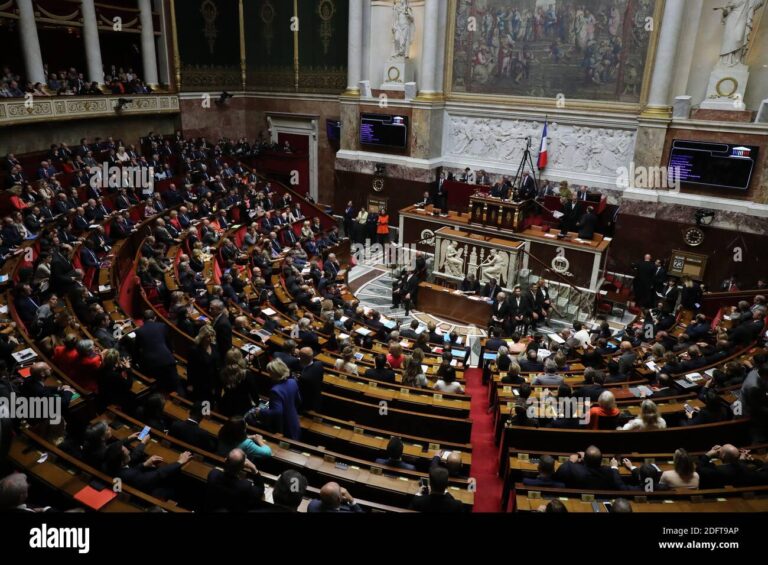 Qui sont les élus à l’assemblée nationale en France