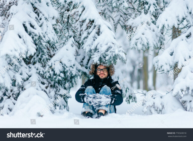 Faut-il vraiment enlever le gui des arbres pour les protéger