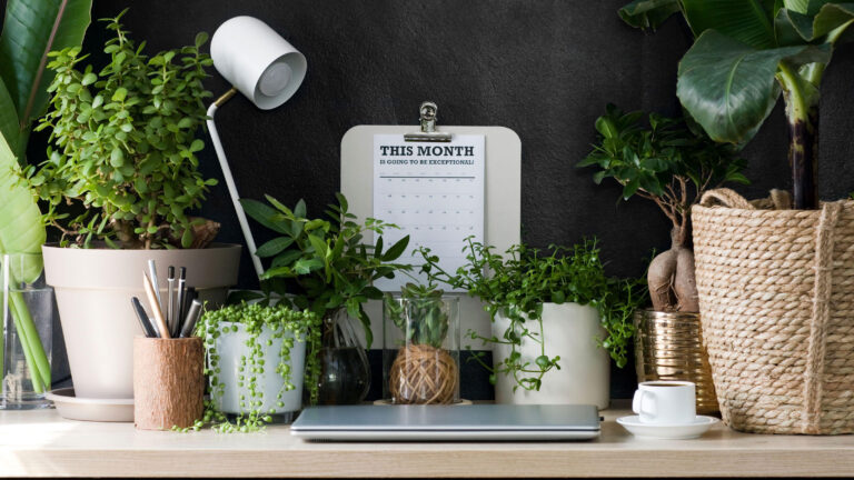 un bureau vide avec une plante fanee