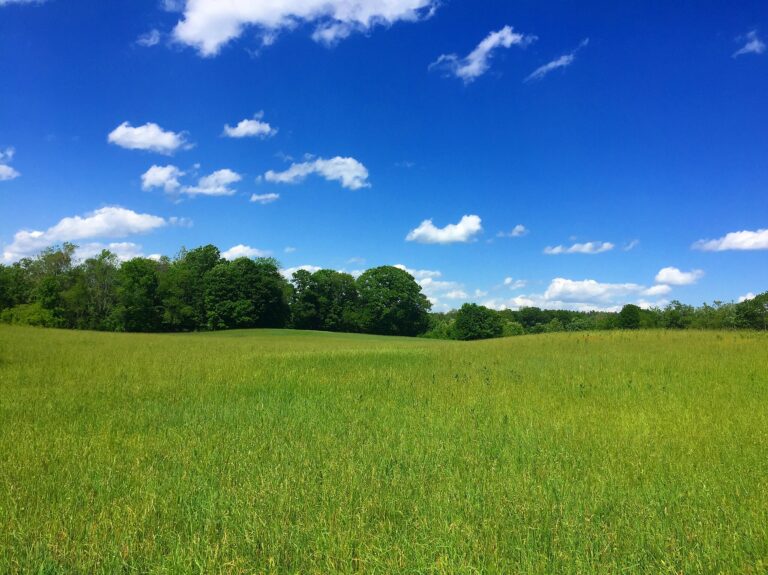 Le repos est-il vraiment dans le champ comme on le dit