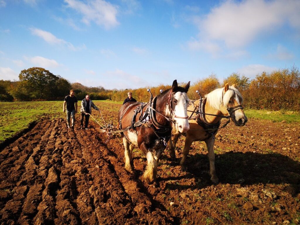 Où trouver une ferme à louer avec terrain pour accueillir des chevaux