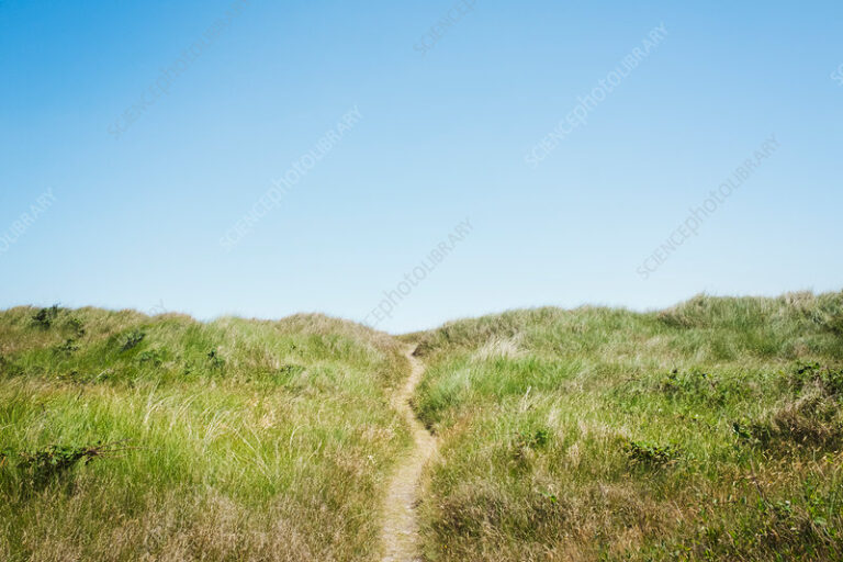 une route degagee sous un ciel bleu