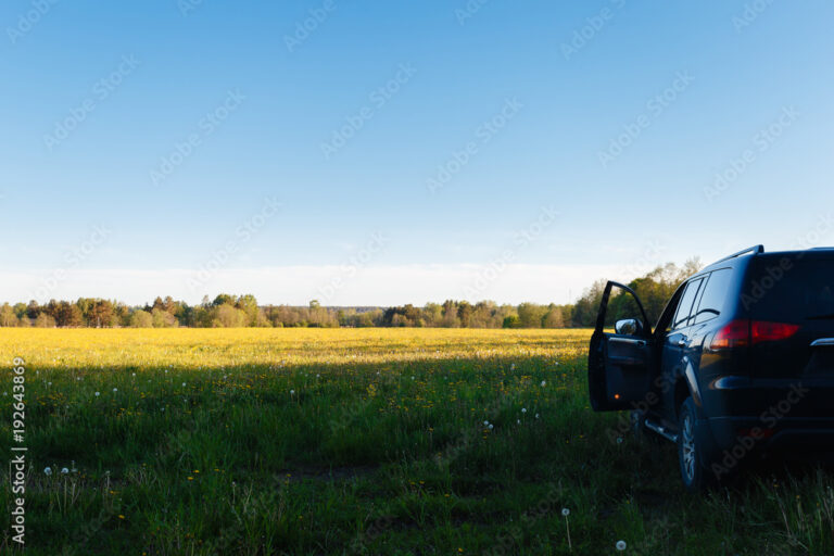 une voiture en pleine nature relaxante