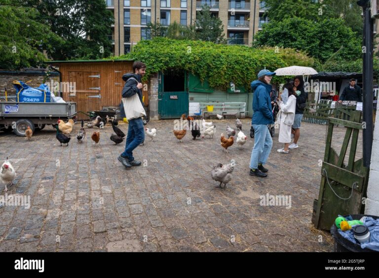 visiteurs interagissant avec des animaux de ferme