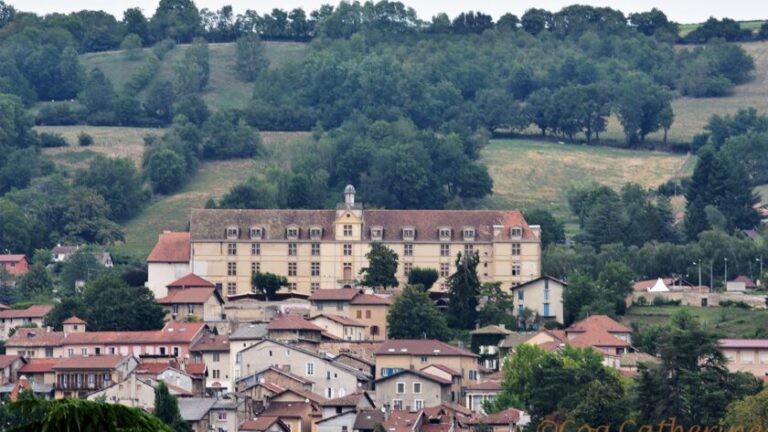 Pourquoi choisir La Côte-Saint-André pour travailler en France